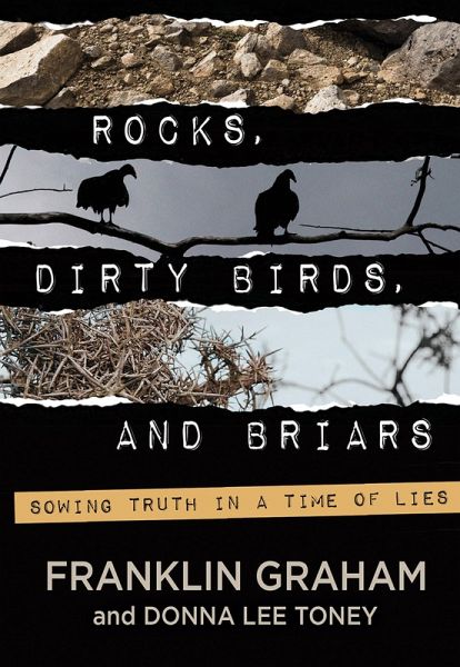 Rocks, Dirty Birds, and Briars (eBook, ePUB)