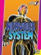 Nervous System - Bild 1