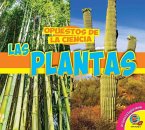 Las Plantas