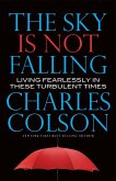 The Sky Is Not Falling (eBook, ePUB)