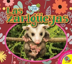 Las Zarigüeyas - Kissock, Heather