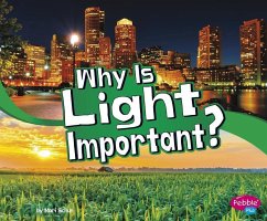 Why Is Light Important? - Schuh, Mari