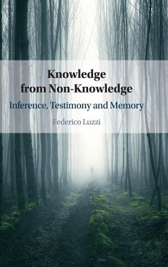 Knowledge from Non-Knowledge - Luzzi, Federico