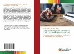 A Epistemologia do Direito e o Law & Economics no Civil Law