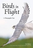 Birds in Flight (eBook, ePUB)