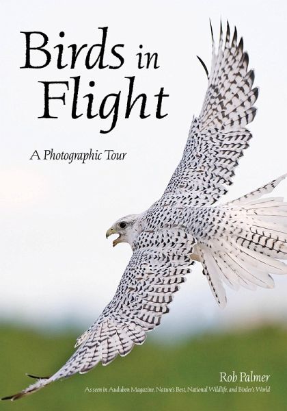 Birds in Flight (eBook, ePUB) Birds in Flight (eBook, ePUB)