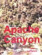 Apache Canyon (eBook, ePUB) - Bild 1