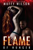 Flame of Hunger (eBook, ePUB)