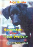 Gestatten: Dreibein, Tipsy Dreibein (eBook, PDF)