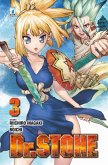 Inagaki, R: Dr. Stone Inagaki, R: Dr. Stone