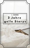 2 Jahre geile Storys (eBook, ePUB)