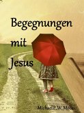 Begegnungen mit Jesus (eBook, ePUB)