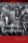 Subaltern Geographies (eBook, ePUB)