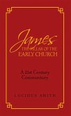James the Pillar of the Early Church (eBook, ePUB)