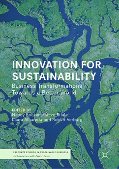 Innovation for Sustainability (eBook, PDF)