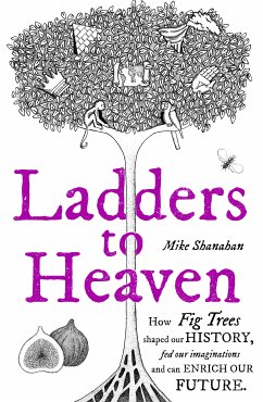 Ladders to Heaven (eBook, ePUB) - Shanahan, Mike