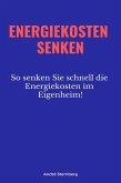 Energiekosten senkenEnergiekosten senken (eBook, ePUB)