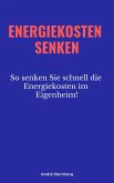 Energiekosten senken (eBook, ePUB)