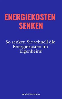 Energiekosten senken (eBook, ePUB) - Sternberg, Andre
