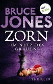 ZORN - Im Netz des Grauens (eBook, ePUB)