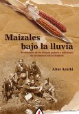 Maizales bajo la lluvia (eBook, ePUB)