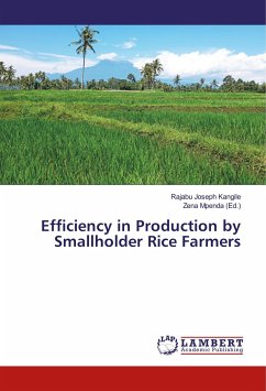 Efficiency in Production by Smallholder Rice Farmers