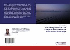 Land Degradation and Adaptive Mechanism in Northeastern Wollega