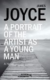 A portrait of the artist as a young man (eBook, ePUB)