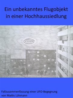 Ein unbekanntes Flugobjekt in einer Hochhaussiedlung (eBook, ePUB) - Lühmann, Mattis