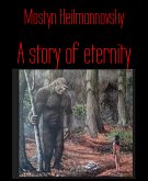 A story of eternity (eBook, ePUB)