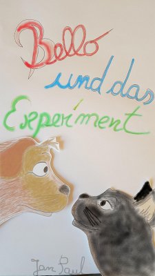 Bello und das Experiment (eBook, ePUB) - Paul, Jan