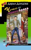 Чучело от первого брака (eBook, ePUB)