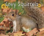 Grey Squirrels (eBook, PDF)