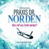 Praxis Dr. Norden 7 - Arztroman (MP3-Download)