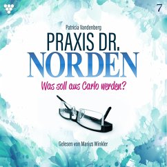 Praxis Dr. Norden 7 - Arztroman (MP3-Download) - Vandenberg, Patricia