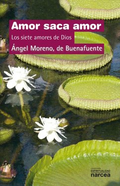 Amor saca amor (eBook, ePUB) - Moreno de Buenafuente Ángel