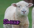 Sheep (eBook, PDF)
