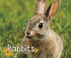 Rabbits (eBook, PDF)