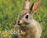 Rabbits (eBook, PDF) Rabbits (eBook, PDF)