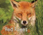 Red Foxes (eBook, PDF)