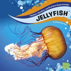 Jellyfish (eBook, PDF) - Rake, Jody S.