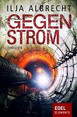 Gegenstrom (eBook, ePUB)