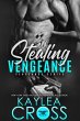 Stealing Vengeance (Vengeance Series,... - Bild 1