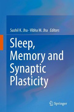 Sleep, Memory and Synaptic Plasticity (eBook, PDF)