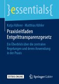Praxisleitfaden Entgelttransparenzgesetz (eBook, PDF)