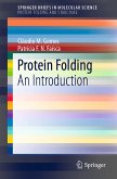 Protein Folding (eBook, PDF)