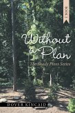 Without a Plan (eBook, ePUB)