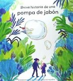 Breve historia de una pompa de jabón