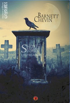 Short stories (eBook, ePUB) - Chevin, Barnett