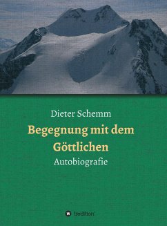 Begegnung mit dem Göttlichen (eBook, ePUB) - Schemm, Dieter